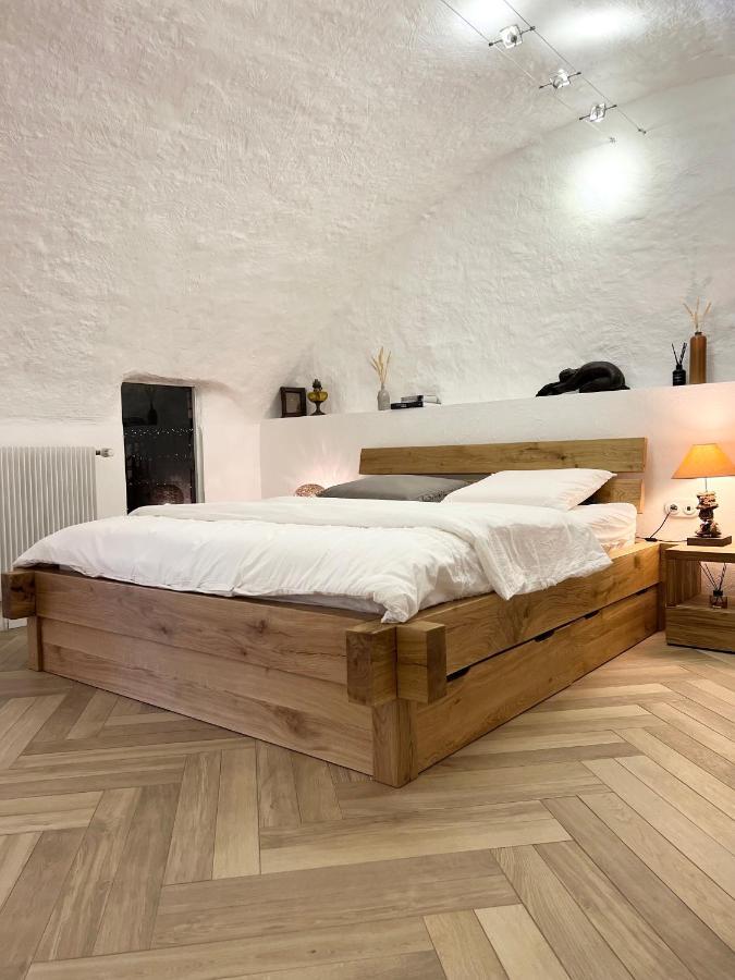 Superbe Appartement Au Chateau D'Allaman De 80M2 リュグラン エクステリア 写真