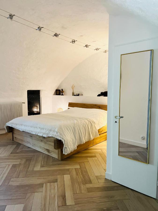 Superbe Appartement Au Chateau D'Allaman De 80M2 リュグラン エクステリア 写真