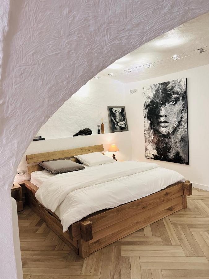 Superbe Appartement Au Chateau D'Allaman De 80M2 リュグラン エクステリア 写真