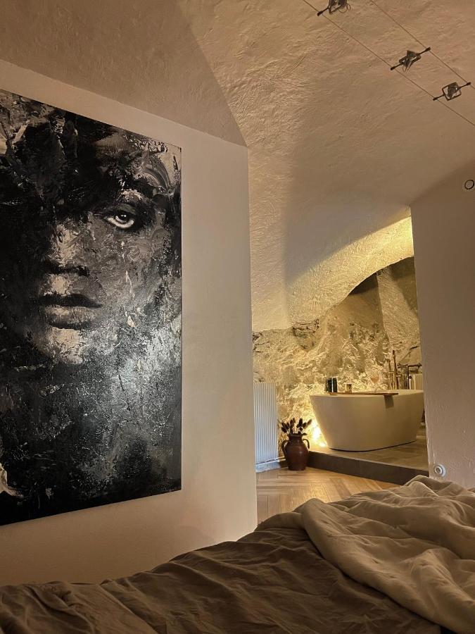 Superbe Appartement Au Chateau D'Allaman De 80M2 リュグラン エクステリア 写真