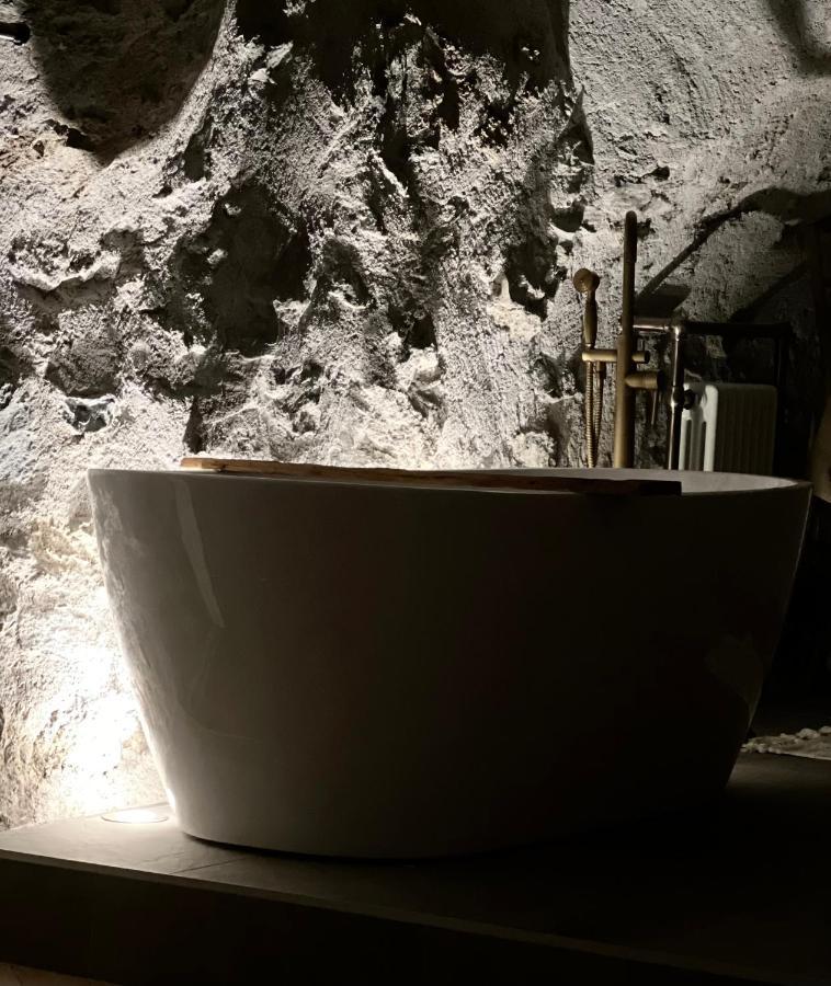 Superbe Appartement Au Chateau D'Allaman De 80M2 リュグラン エクステリア 写真